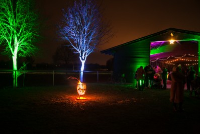 Beleuchteter Baum